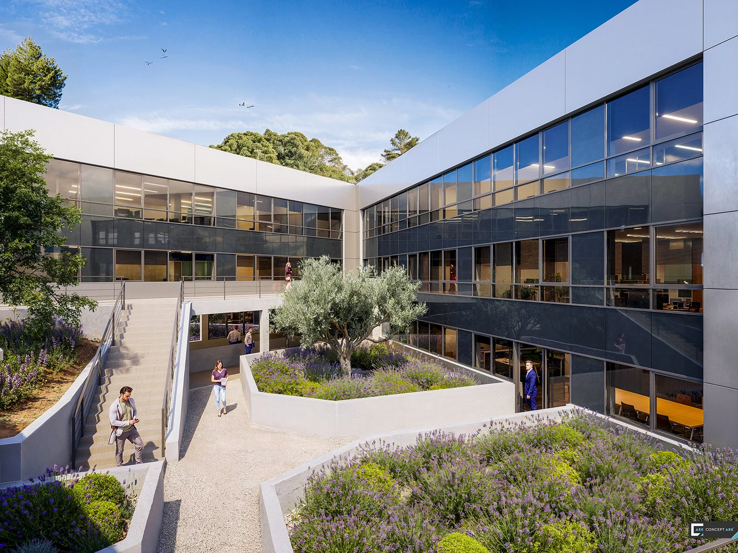 Bureaux à Valbonne : cour paysagère entre les façades vitrées des bâtiments.